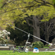 Illustration for article titled That Time the Postal Service Actually Used Gyrocopters To Deliver Mail